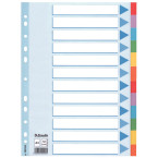 Esselte tabbladen 12 tabs