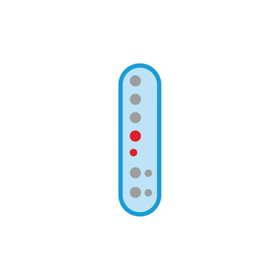 Maped Soprano Recorder Plastic Modern...