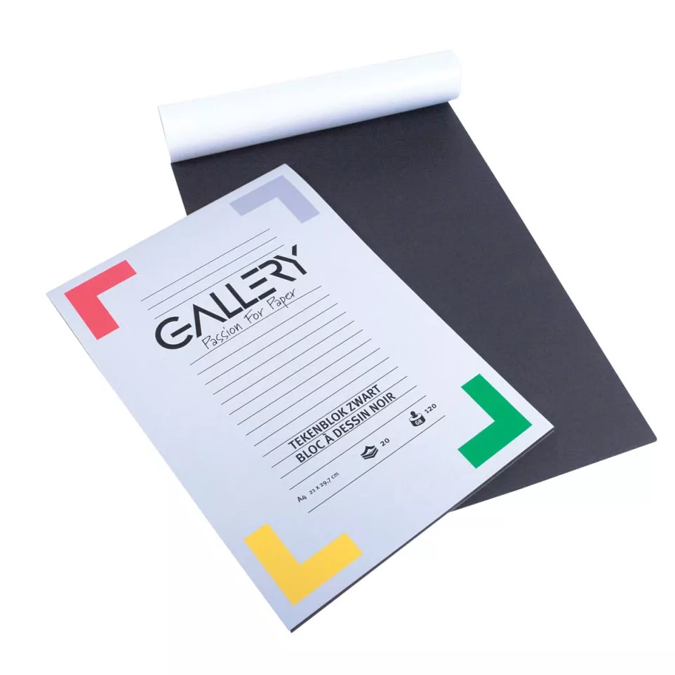 Gallery papier à dessin, 120 g, ft 21...