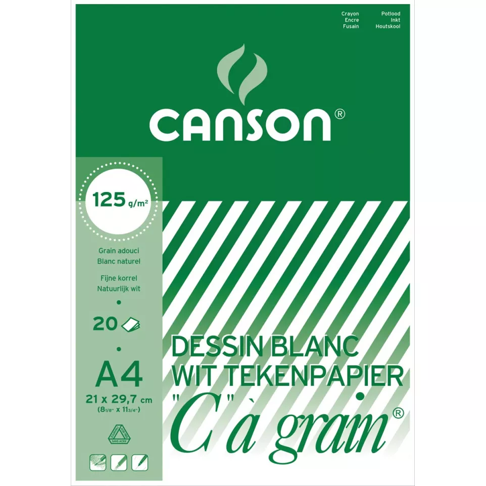 Canson C à Grain Drawing Pad 125 gsm,...