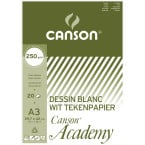 Canson papier à dessin...