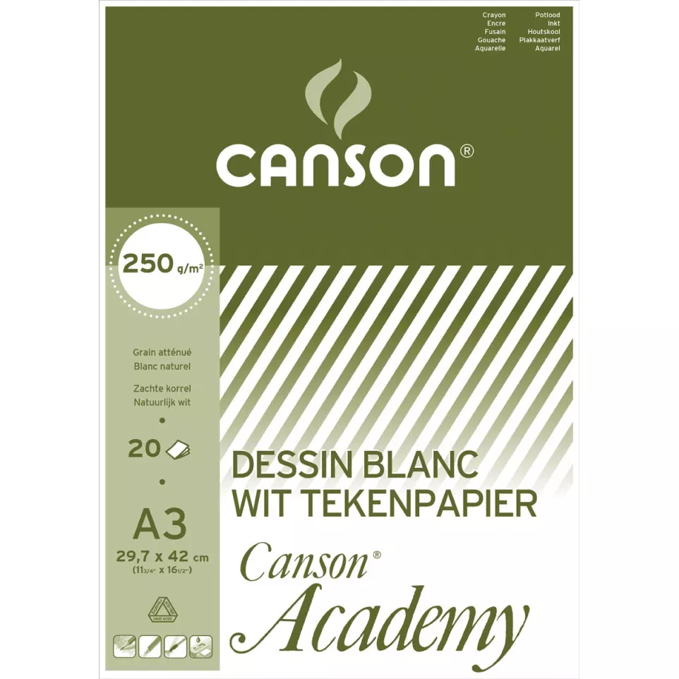 Canson Academy Drawing Paper Pad, 250...
