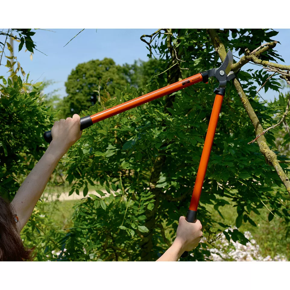 Ébrancheur / sécateur de jardin Bahco...