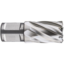 Weldon HSS magneetboor Ø20x30mm / PCE