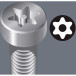 Tamper-Resistant Torx Bit TX25 x 25mm per piece