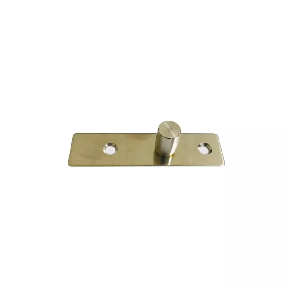 Dorma PT24 Top Pivot on Plate for...