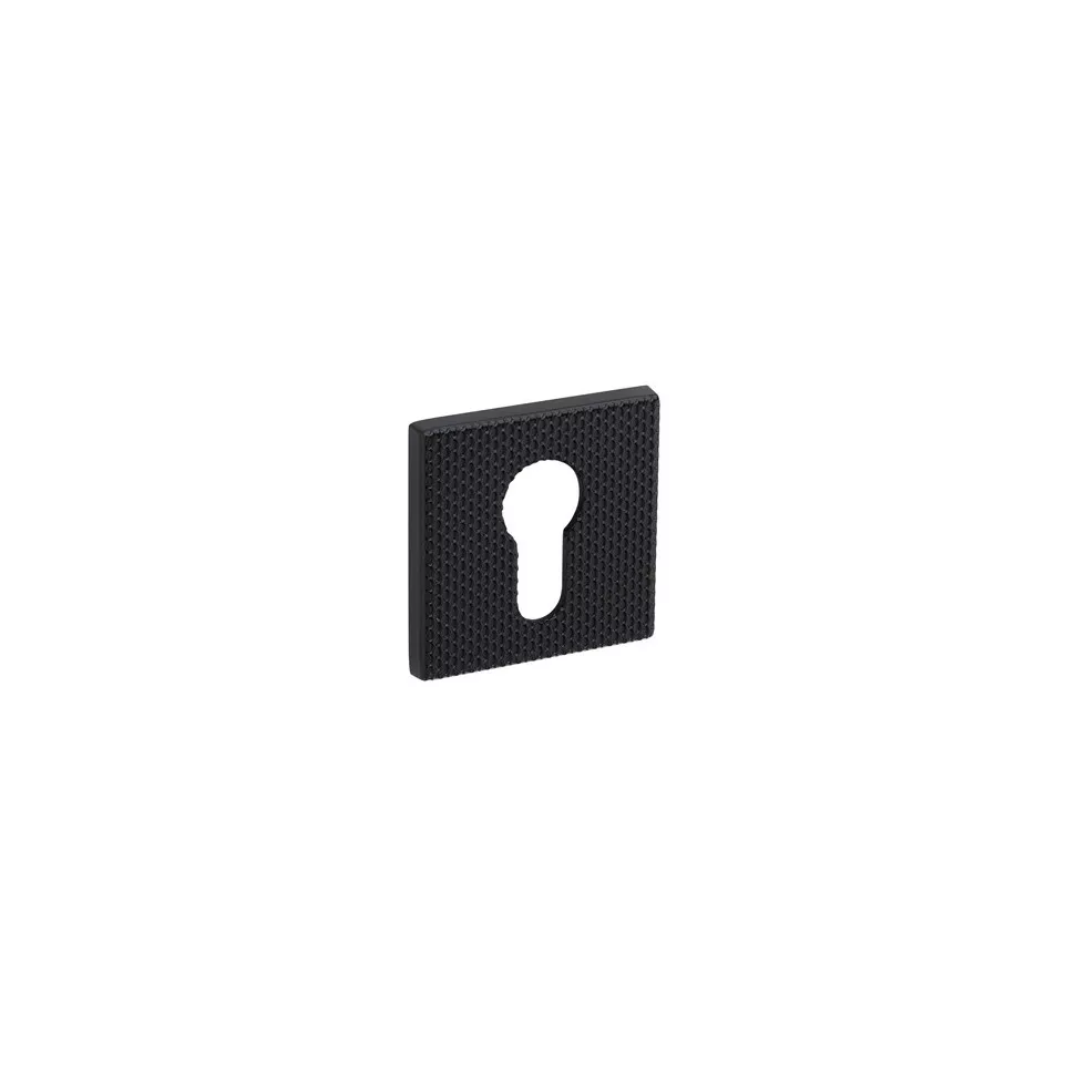 Pair of Square Cylinder Escutcheons...