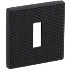 Pair of Square Keyhole...