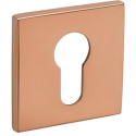 Pair of Square Cylinder Pull Handles 52x5mm 4049 5SQ 161-PVD Polished Copper / pc