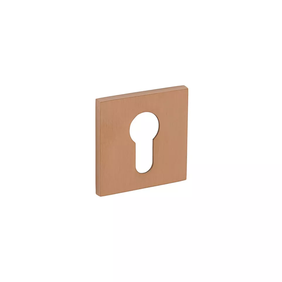 Pair of Square Cylinder Escutcheons...