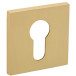 Pair of square cylinder escutcheons 52x5mm 4049 5SQ 158 satin brass / PC