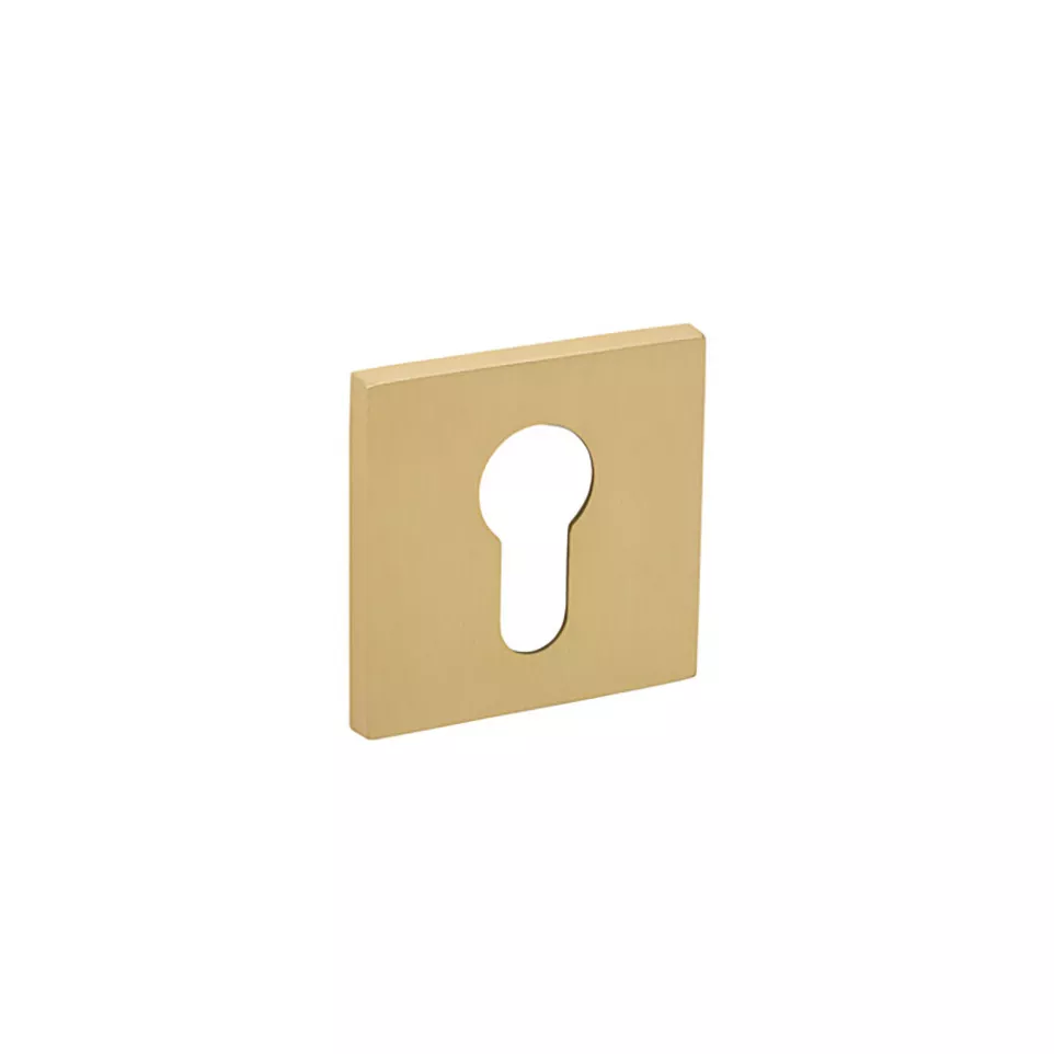 Pair of square cylinder escutcheons...