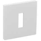 Pair of Square Keyhole...