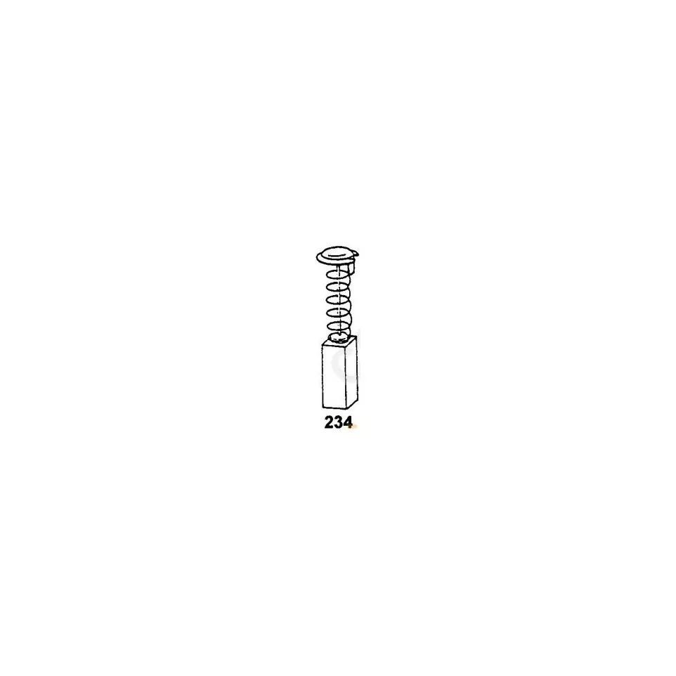 Set of 2 Carbon Brushes 1921 for...