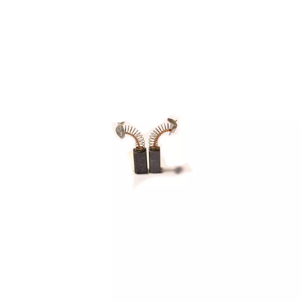 Set of 2 Carbon Brushes 0921 for...