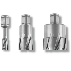 Fein hardmetalen frees Ø 39mm x 35 Weldon 3/4" 63127741010 / pce