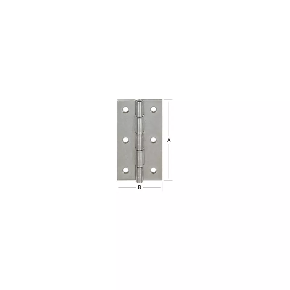 Charnière à noeud roulé 50x31mm inox...