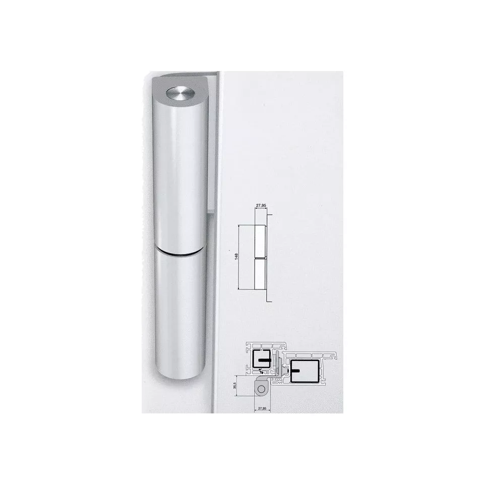 Paumelle Dr Hahn KT-R 16/3mm Ral 8077...