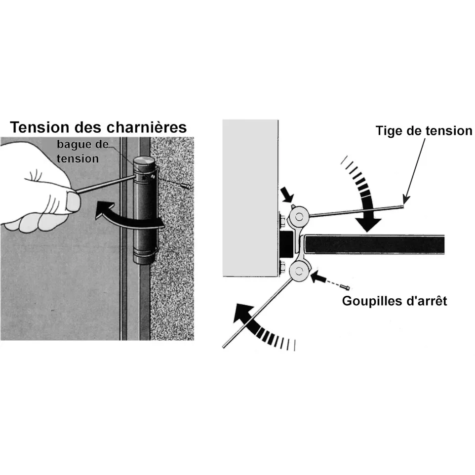 Charnière double action nickelée de...