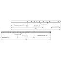 GU Secury X F16 Top and Bottom Rod Kit SB2 Central Lock Round Bolt Cylinder Operated per piece