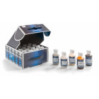 Hardwasolie grijs 100ml / 0.1l