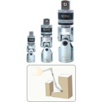 3 ratels met...