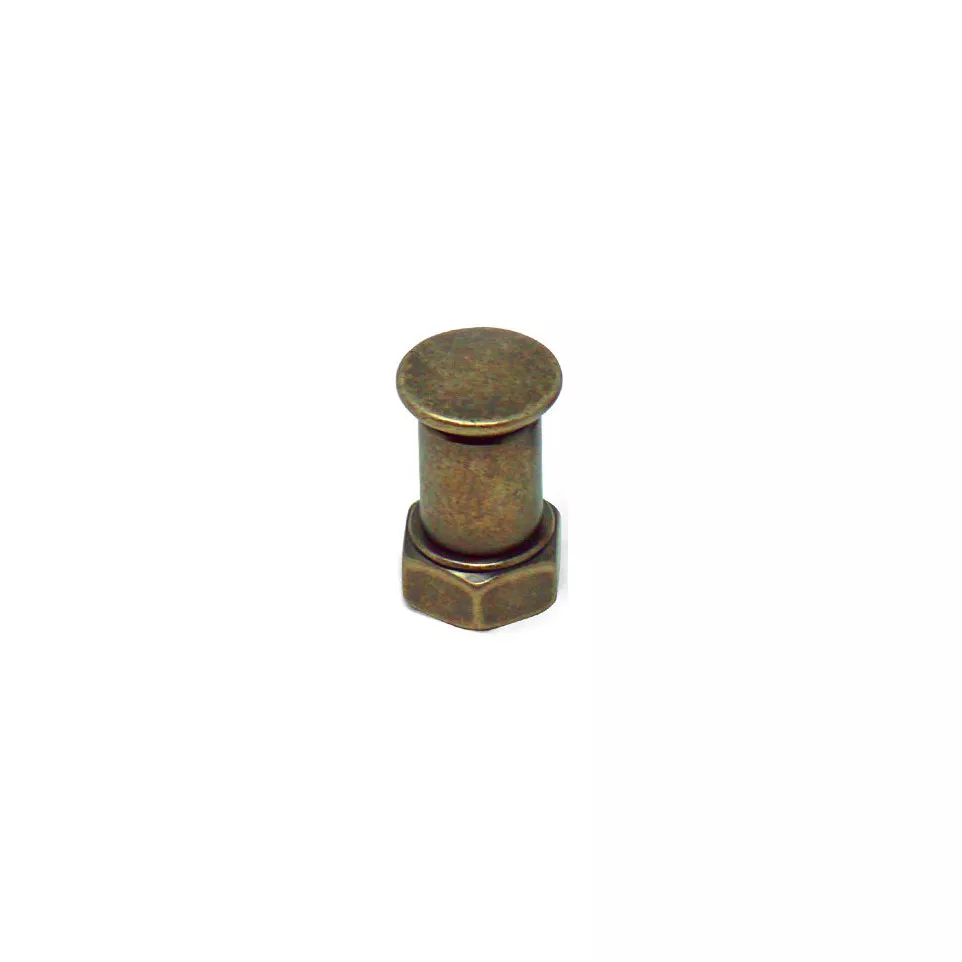 Industriële knop Ø19mm Tube verouderd...