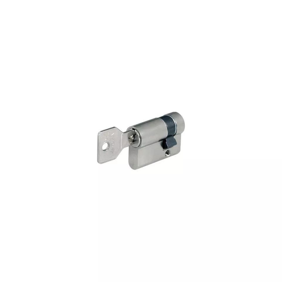 Cylindre double Europrofil (PZ) Cisa...