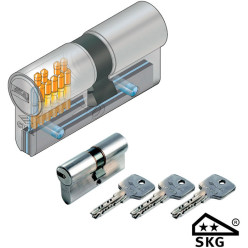 CISA Astral S Euro Double Cylinder 45/65 per piece