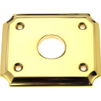 Polished Brass Escutcheon...