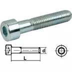 Metric Steel Zinc-Plated Hexagon Socket Head Cap Screw DIN 912 Ø8x40mm / 200pcs