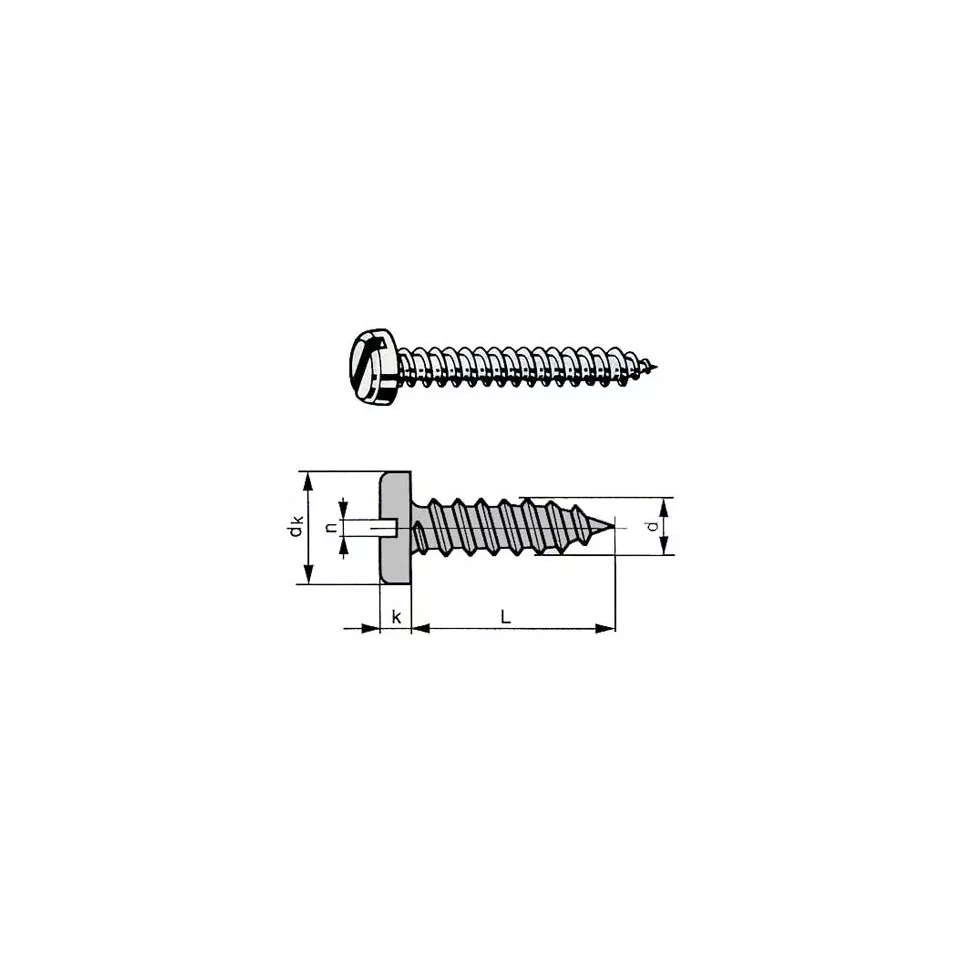 A2 Stainless Steel Slotted Pan Head...