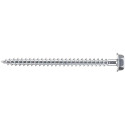 Box of 100 Hex Head T8 Torx 20 Screws with Wall Plugs Spit Color Tech 8x50mm per piece