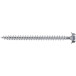 Box of 100 Hex Head T8 Torx 20 Screws with Wall Plugs Spit Color Tech 8x50mm per piece