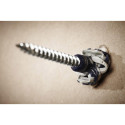 Box of 100 Hex Head T8 Torx 20 Screws with Wall Plugs Spit Color Tech 8x50mm per piece
