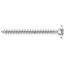 Spitpluggen met Color-Tech schroeven Ø6x35mm / 50pce