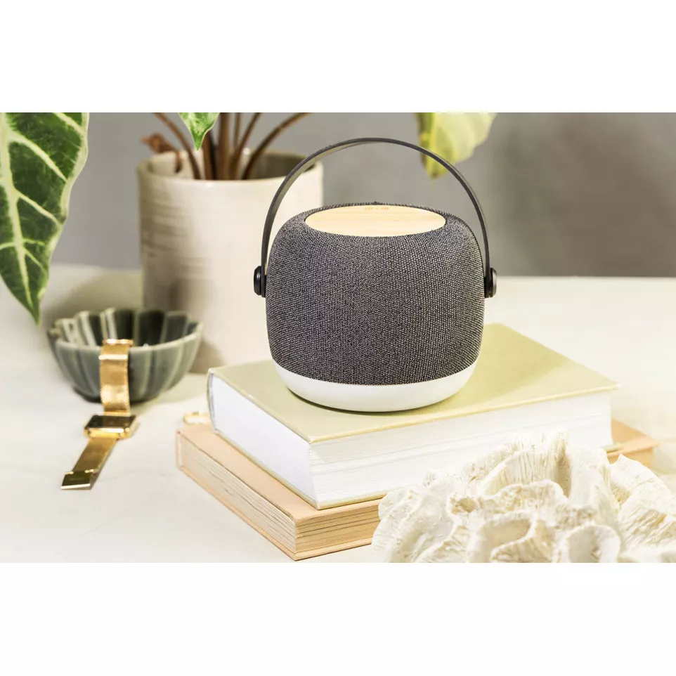 Luzfi gris foncé  enceinte sans fil...