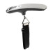 Incheon silver  luggage scale 