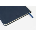 Clappuk bleu  Carnet RPU 
