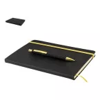 Aereus gold  notebook set 