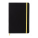 Aereus gold  notebook set 