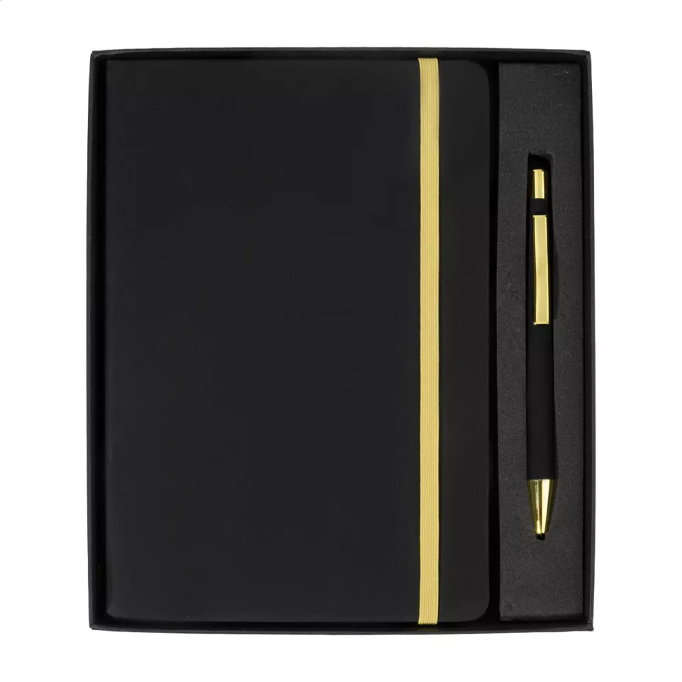 Aereus goud  notebookset 