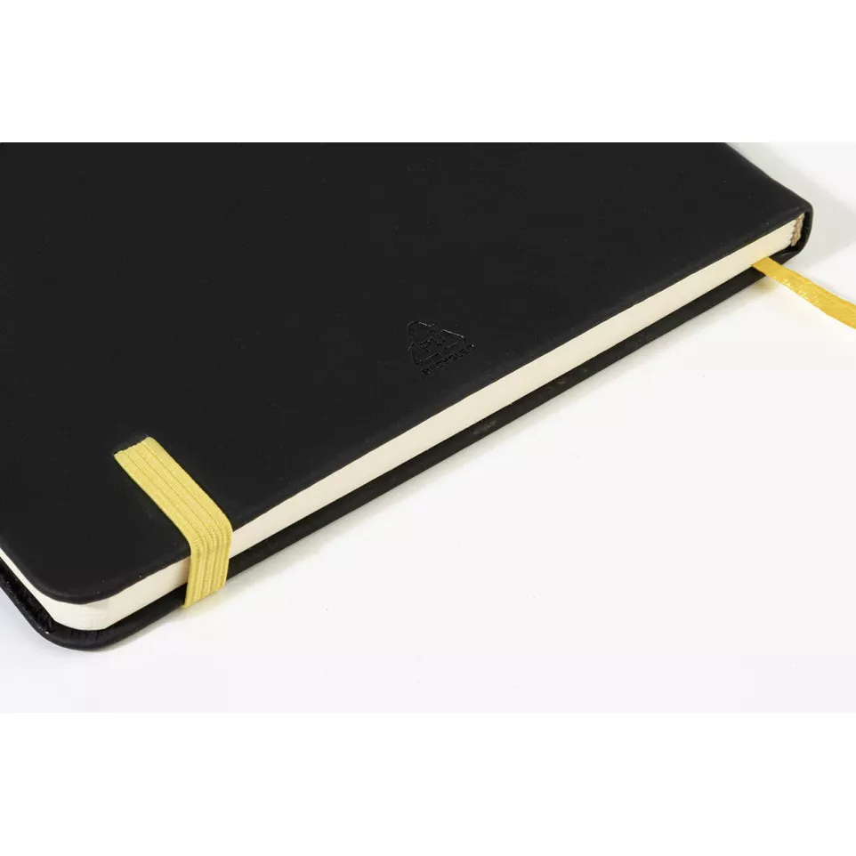 Aereus goud  notebookset 