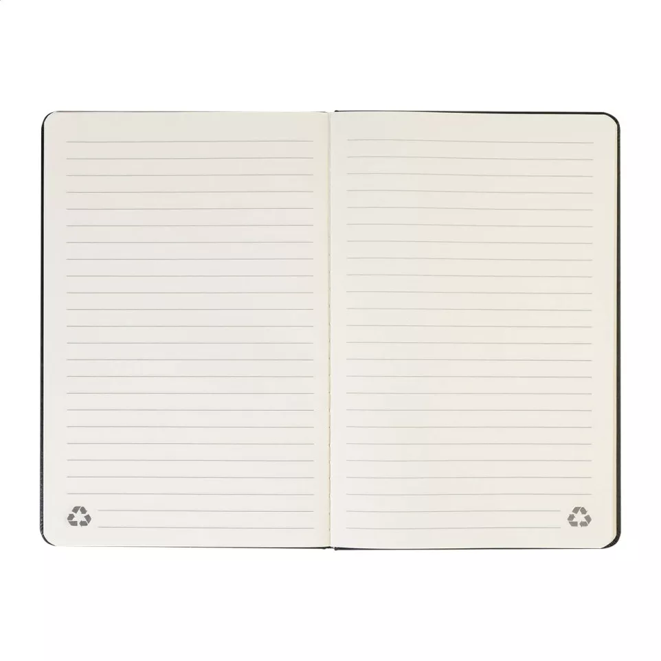 Aereus goud  notebookset 