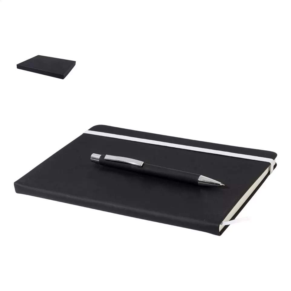 Aereus zilver  notebookset 