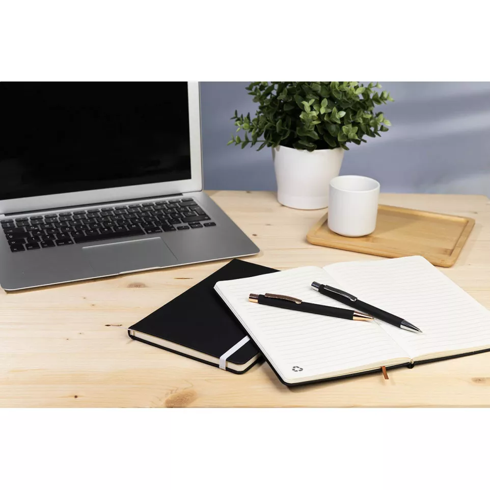Aereus silver  notebook set 