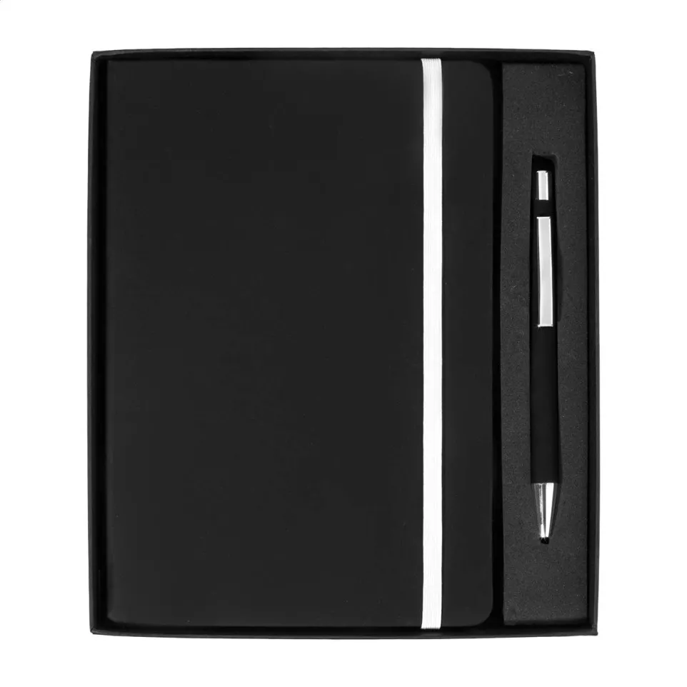 Aereus zilver  notebookset 