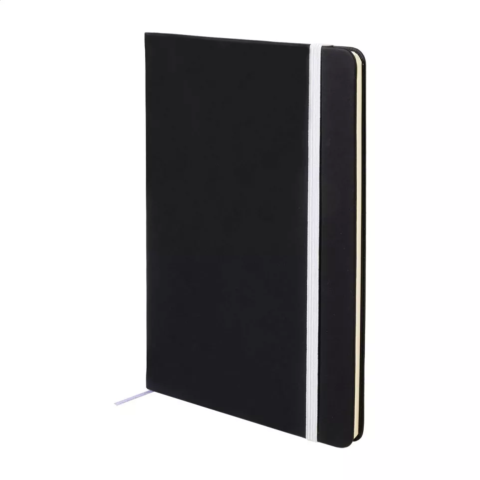 Aereus zilver  notebookset 