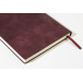 Strium bordeaux  notebookset 