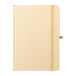 Collus A5 gold  colour revealing notebook 